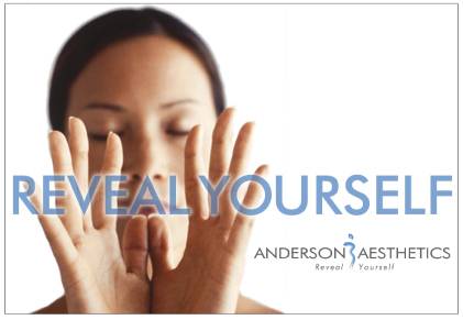 Anderson Aesthetics Poster